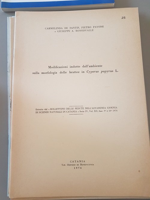 MODIFICAZIONI INDOTTE DALL'AMBIENTE SULLA MORFOLOGIA DELLE BRATTEE IN CYPERUS PAPYRUS