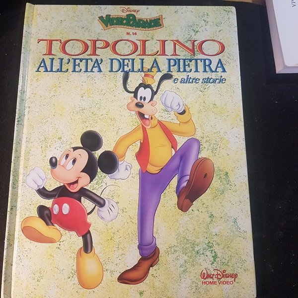 TOPOLINO ALL'ETA' DELLA PIETRA