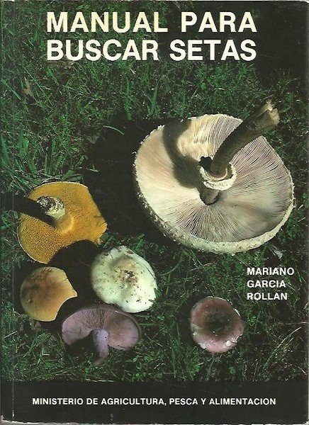 MANUAL PARA BUSCAR SETAS.