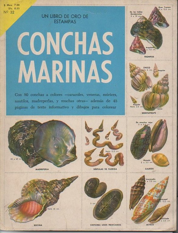 CONCHAS MARINAS.