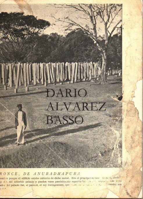 DARIO ALVAREZ BASSO. ARCO. FEBRERO. 1990.