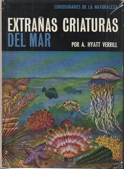 EXTRAÑAS CRIATURAS DEL MAR.