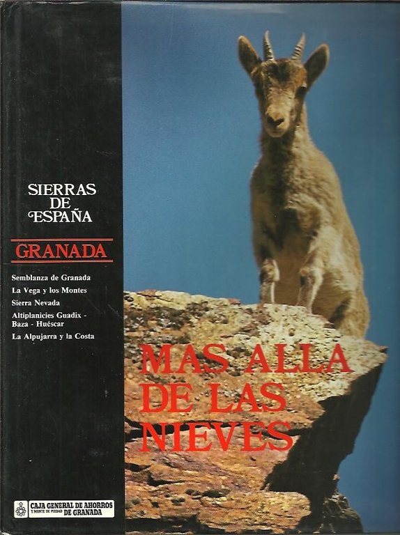GRANADA. MAS ALLA DE LAS NIEVES.