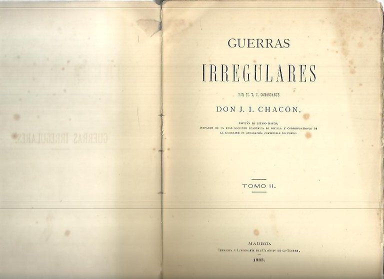 GUERRAS IRREGULARES. TOMO II.