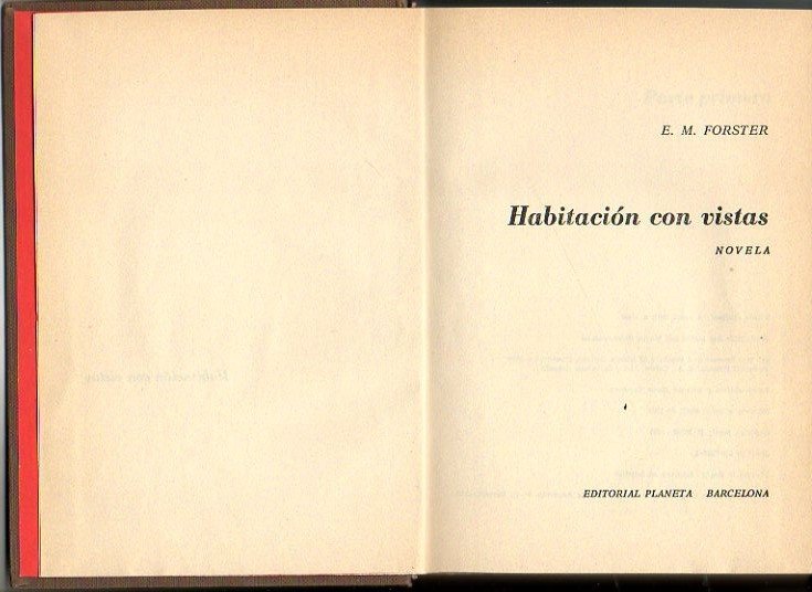 HABITACION CON VISTAS.