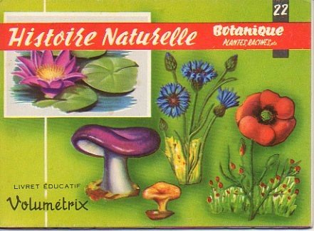 HISTOIRE NATURELLE. X. 22. BOTANIQUE. PLANTES. RACINES.