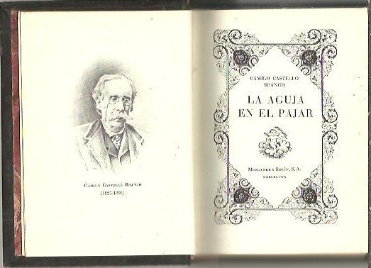 LA AGUJA EN EL PAJAR.