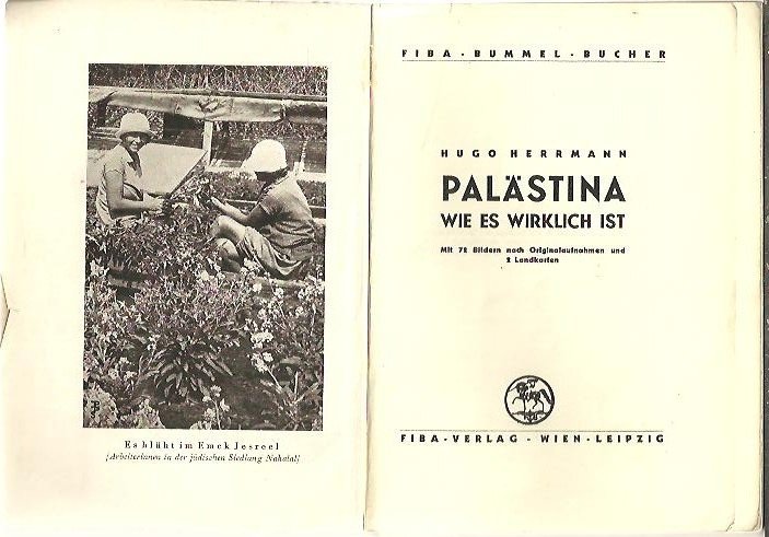 PALASTINA. WIE ES WIRKLICH IST.