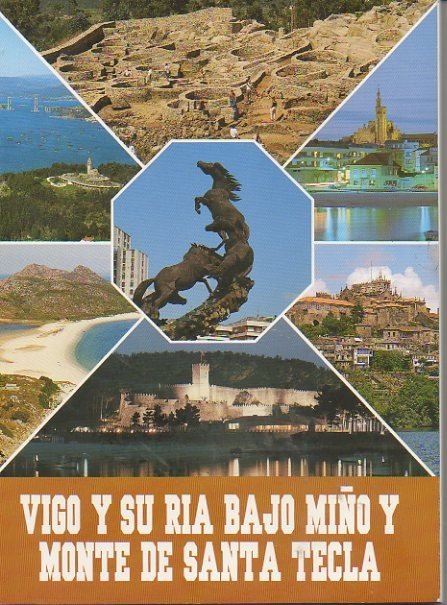 VIGO Y SU RIA. BAJO MIÑO Y MONTE DE SANTA … | Immagine Gallery 2