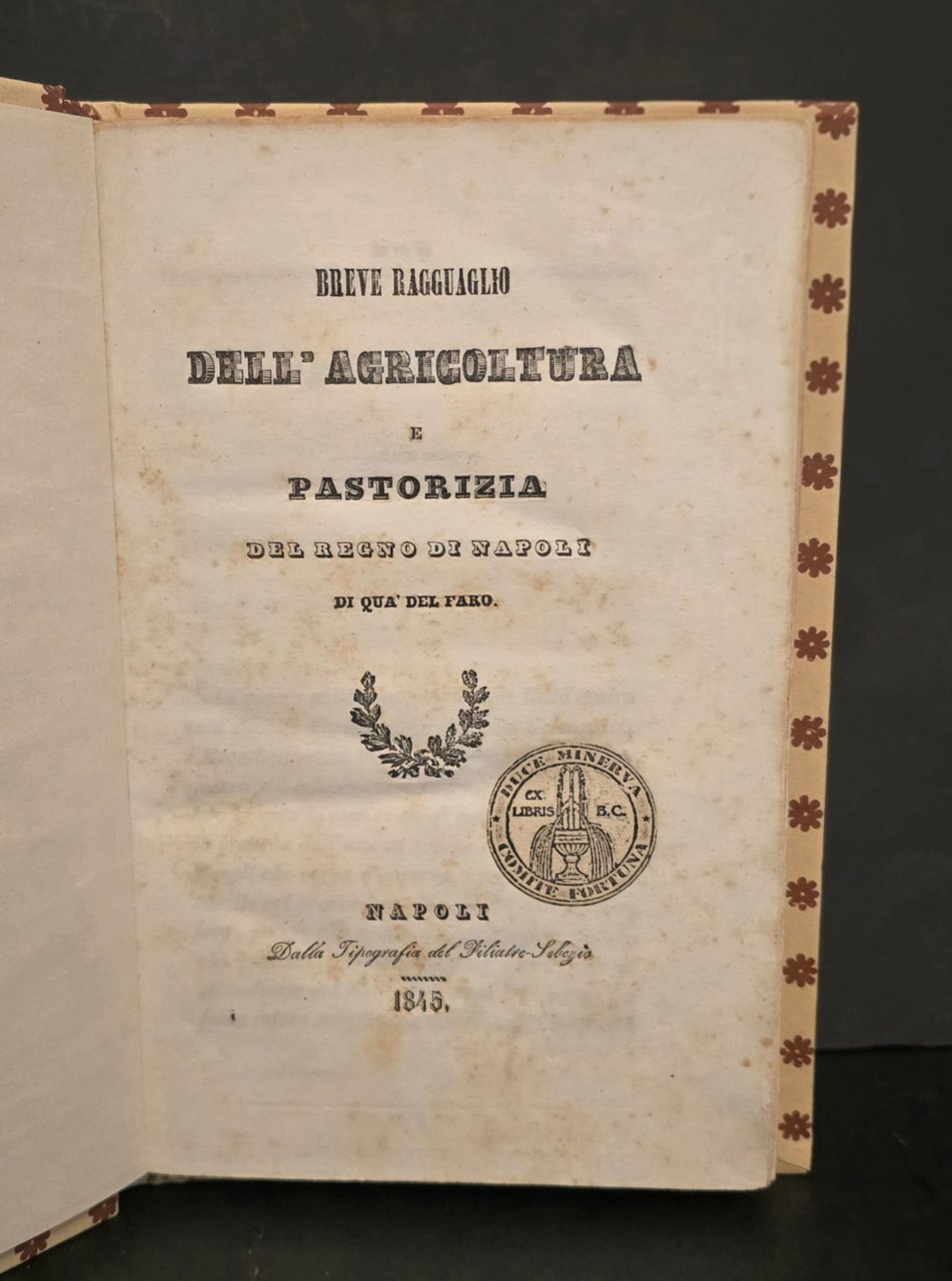 Breve, ragguaglio dell’agricoltura e pastorizia del Regno di Napoli di … | Immagine principale