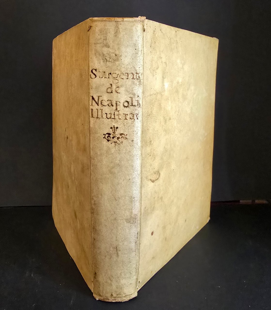 De Neapoli illustrata. Liber unicus cum adnotationibus Mutii fratis. | Immagine principale