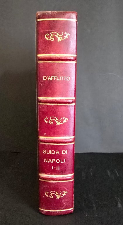 Guida per i curiosi e per i viaggiatori che vengono … | Immagine Gallery 2