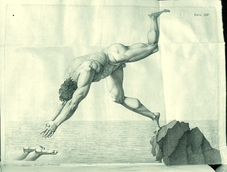 L’uomo galleggiante o sia l’arte ragionata del nuoto scoperta fisica.