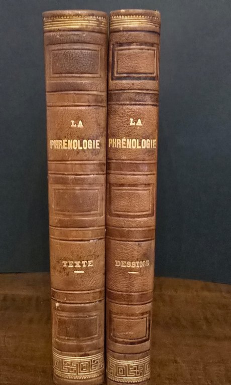 La Phrenologie. | Immagine Gallery 2