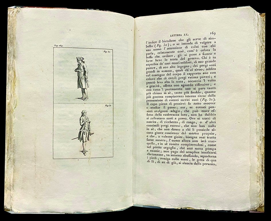 Lettere intorno alla Mimica.