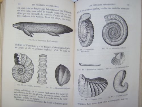 Eléments d'Histoire Naturelle des Pierres et des Terrains.