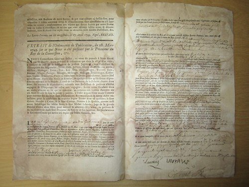 Extrait des Lettres Patentes du Roy, pour le Terrier du …