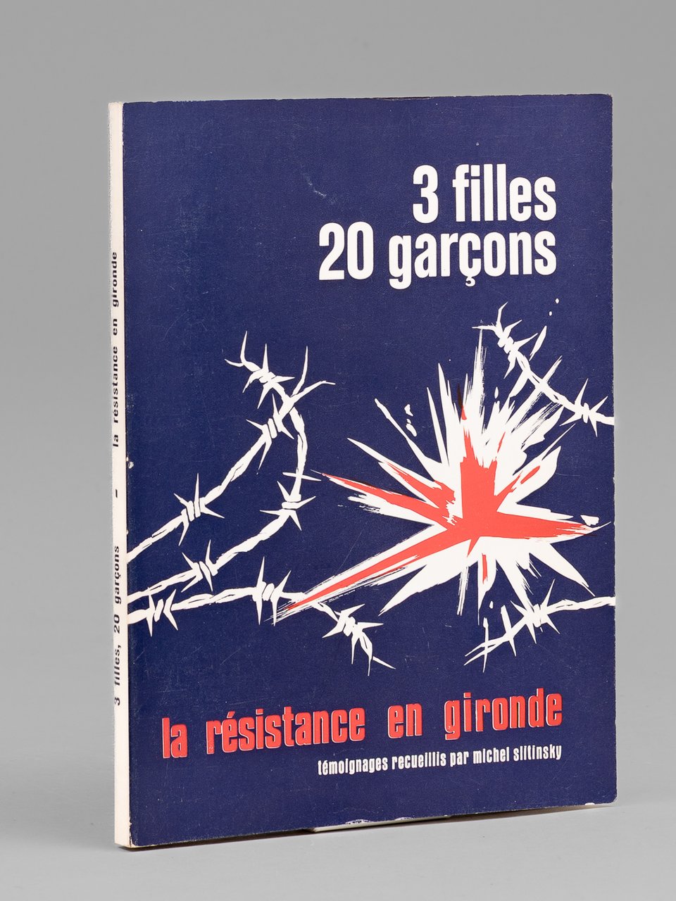3 filles, 20 garçons - La Résistance en Gironde , … | Immagine principale