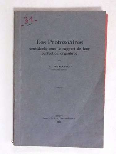 Les Protozoaires considérés sous le rapport de leur perfection organique.