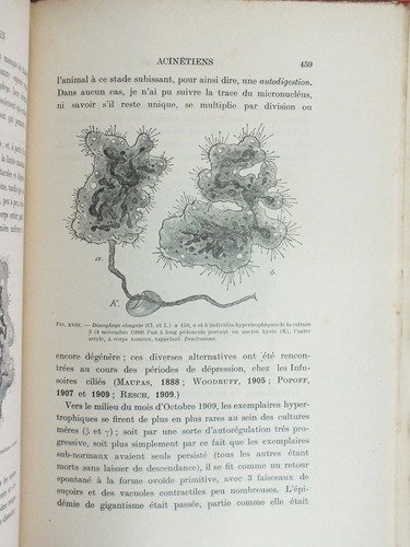 Etude Monographique sur les Acinétiens (2 Tomes - Complet) I …