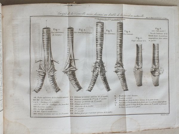 Annales de Chimie et de Physique. 1826 - Volume 2 …