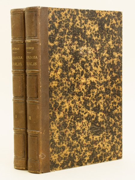 Theologia Moralis Novissimi Ecclesiae Doctoris S. Alphonsi (2 Tomes - …