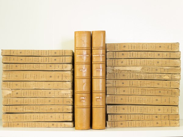 Recherches sur les Ossemens Fossiles, où l'on rétablit les Caractères …