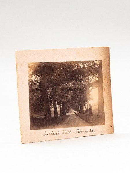 2 Old Photographs : Duchess's Walk - Sevenoaks [ Knole …