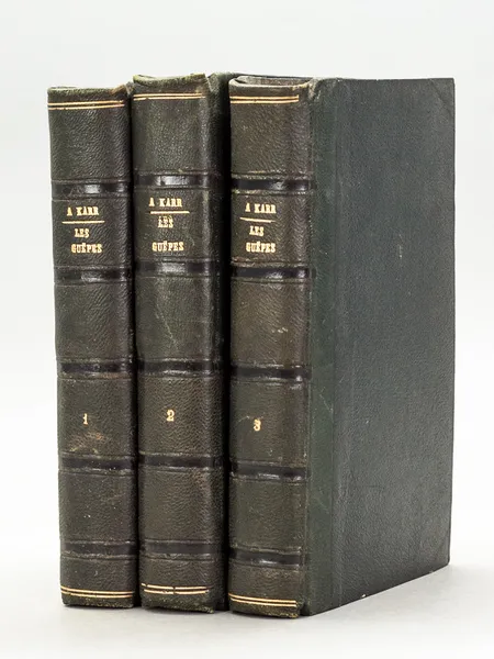 Les Guêpes (6 Tomes - Complet) | Immagine principale