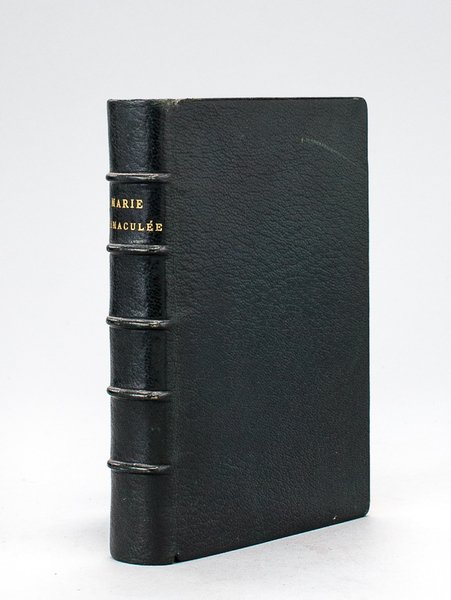 Marie Immaculée, Mère de Dieu