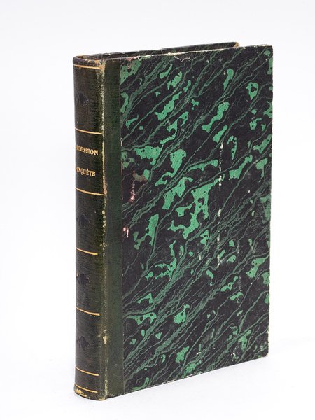 Pièces relatives aux Evénements du 15 Mai et à l'Insurrection … | Immagine principale