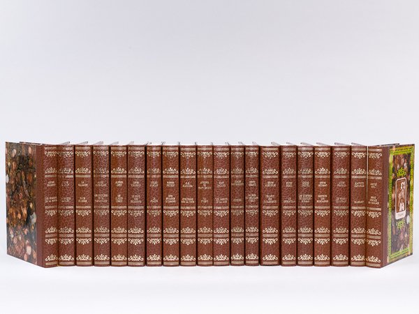 Collection "Les Provinces" (20 Tomes - Complet) Pierre Gascar : … | Immagine principale