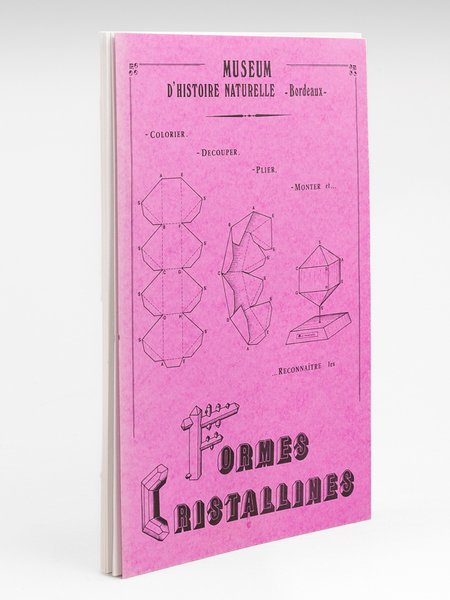 Muséum d'Histoire Naturelle. Bordeaux. Colorier, découper, plier, monter et reconnaître … | Immagine Gallery 1