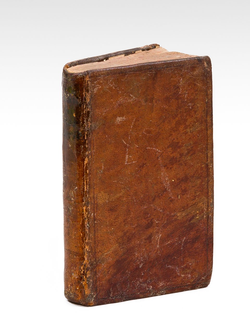 Annotationes in Dioscoridem Anazarbeum, per Andream Lacunam Segobiensem, Medicum Iulij … | Immagine principale