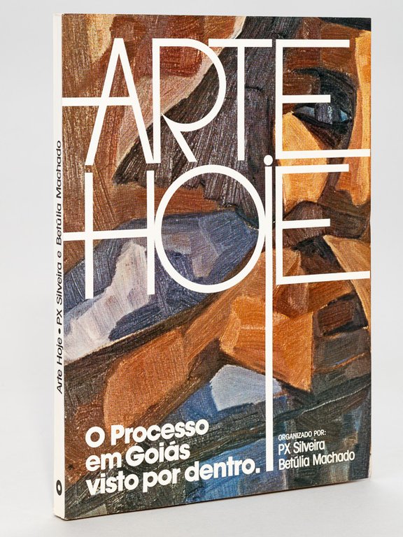 Arte Hoje. O Processo em Goias Visto por Dentro