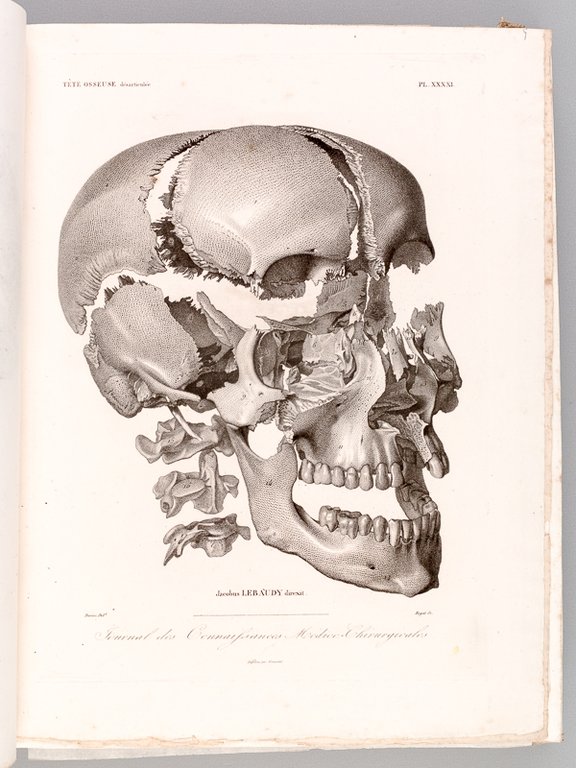 Atlas du Journal des Connaissances médico-chirurgicales