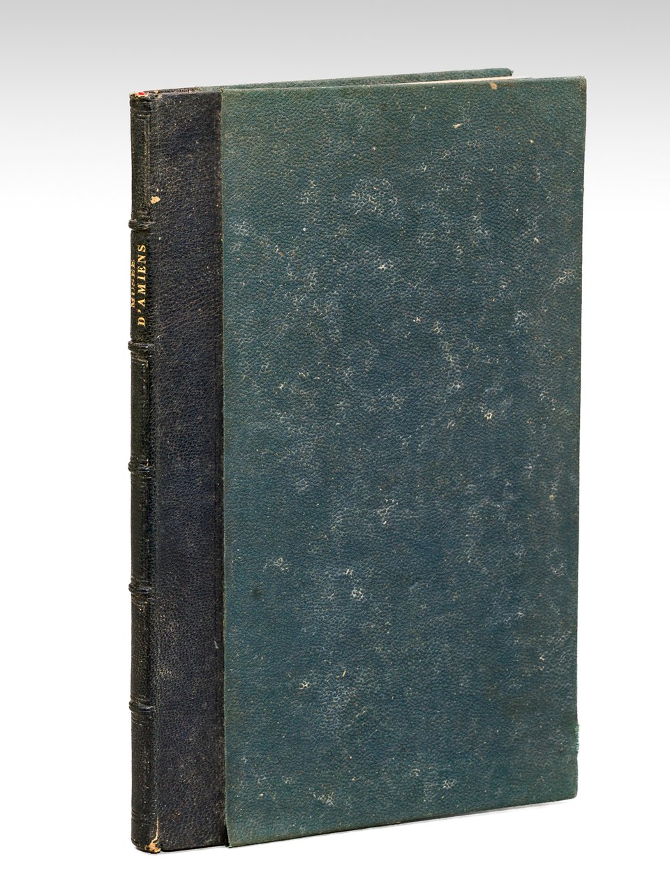 Catalogue du Musée départemental et communal d'Antiquités fondé à Amiens … | Immagine principale