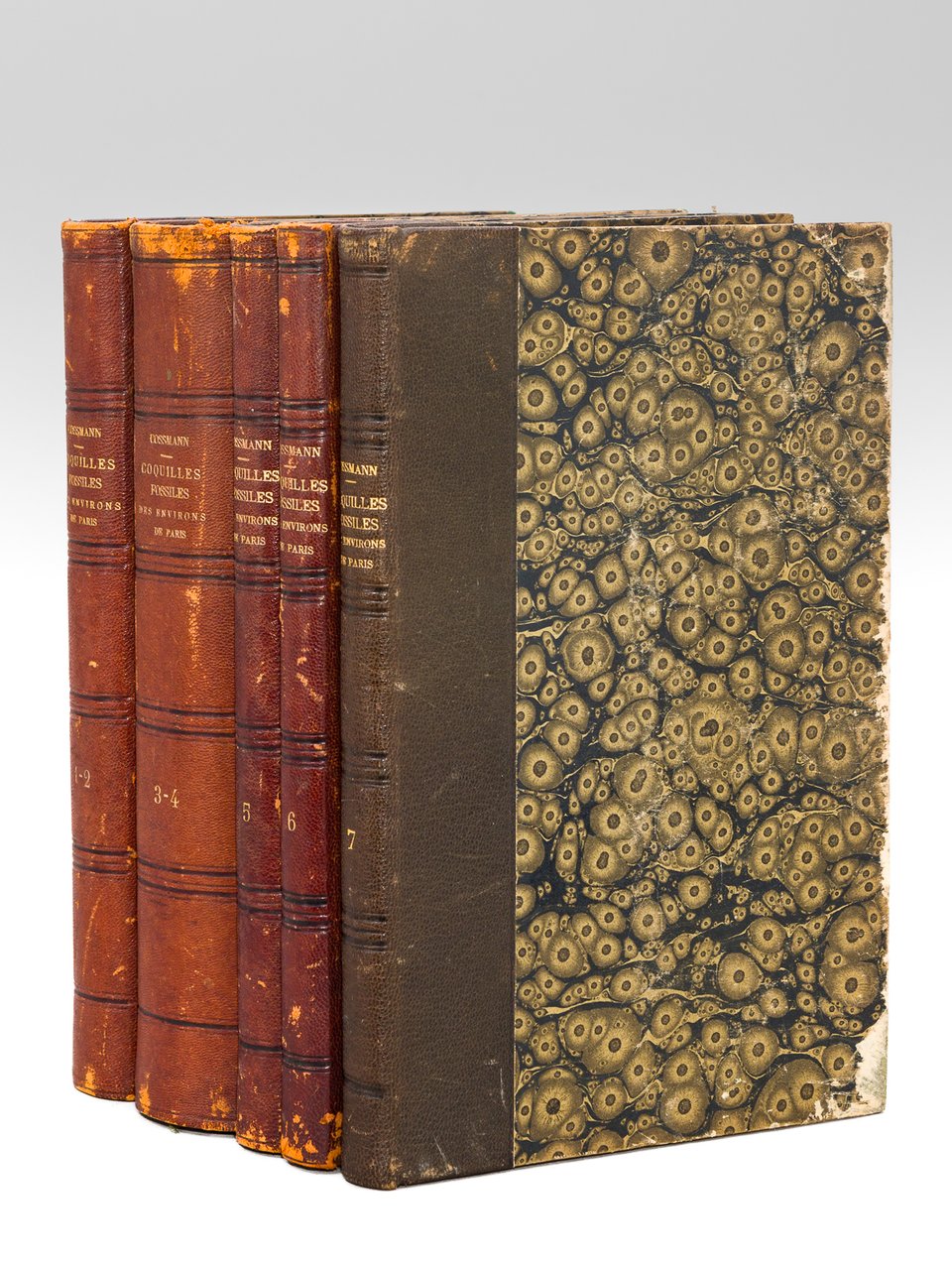 Catalogue illustré des Coquilles Fossiles de l'Eocène des environs de … | Immagine principale