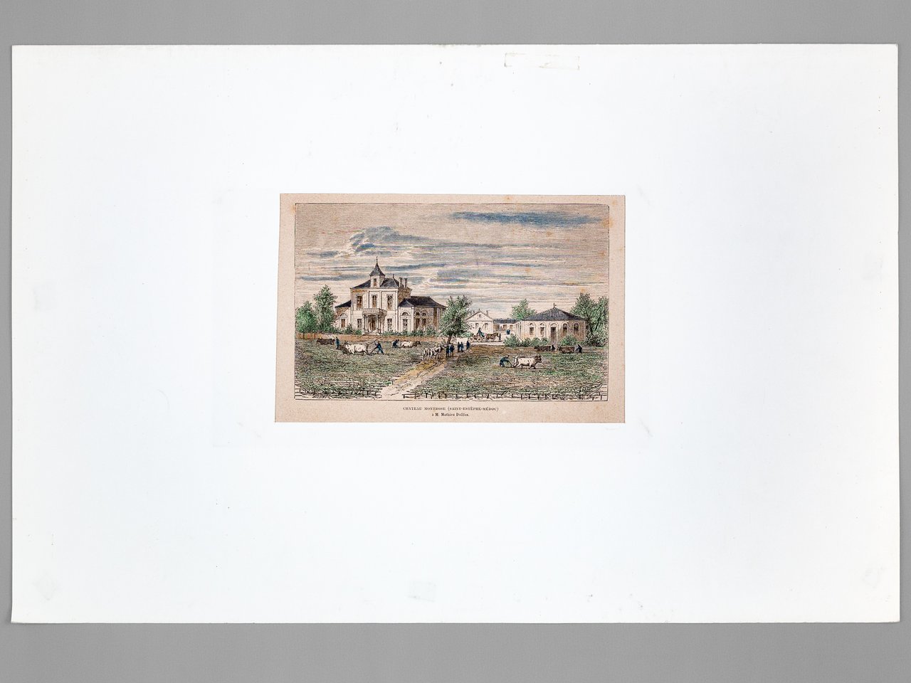 Château Montrose (Saint-Estèphe-Médoc) à M. Matthieu Dollfus [ Gravure originale … | Immagine principale