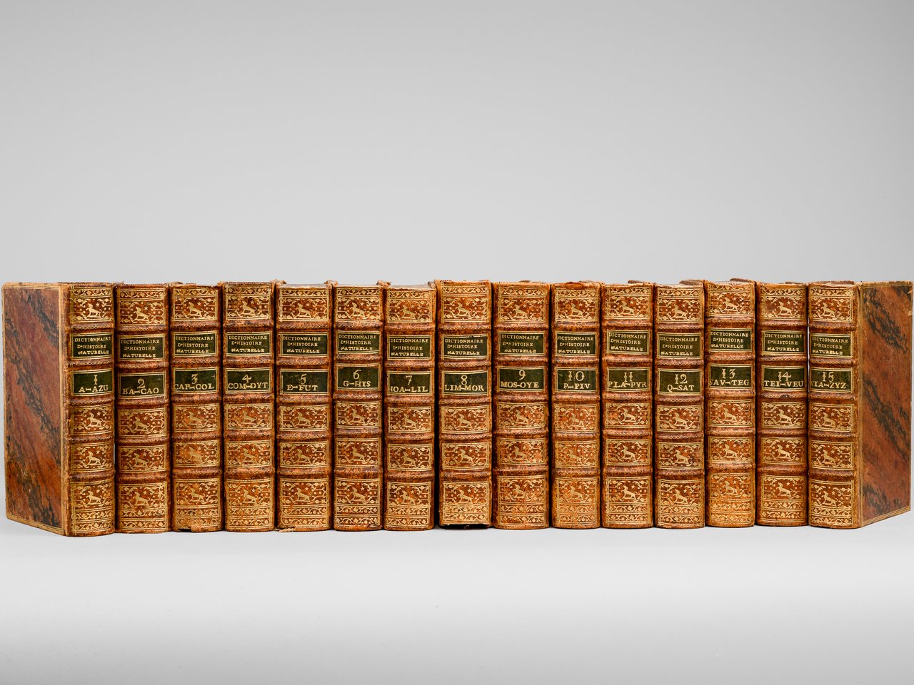 Dictionnaire Raisonné Universel d'Histoire Naturelle (15 Tomes - Complet) Contenant … | Immagine principale
