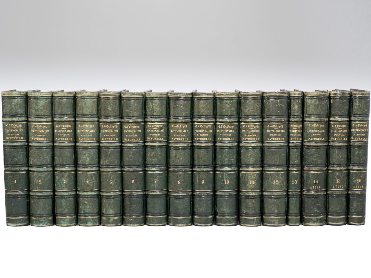 Dictionnaire Universel d'Histoire Naturelle (13 Tomes et 3 Volumes d'Atlas …