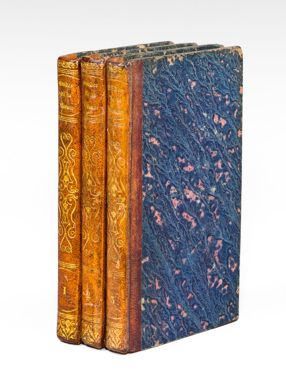 Etudes de la Nature (3 tomes, complet) | Immagine principale