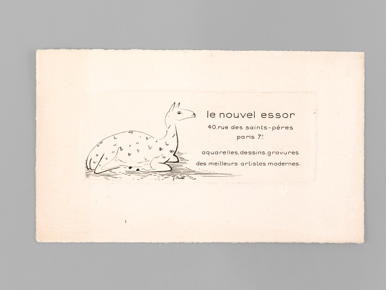 [ Gravure ] Le Nouvel Essor 40 rue des Saints …