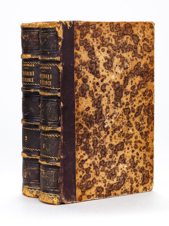 Histoire de France, depuis l'origine de la Nation jusqu'au règne … | Immagine Gallery 2