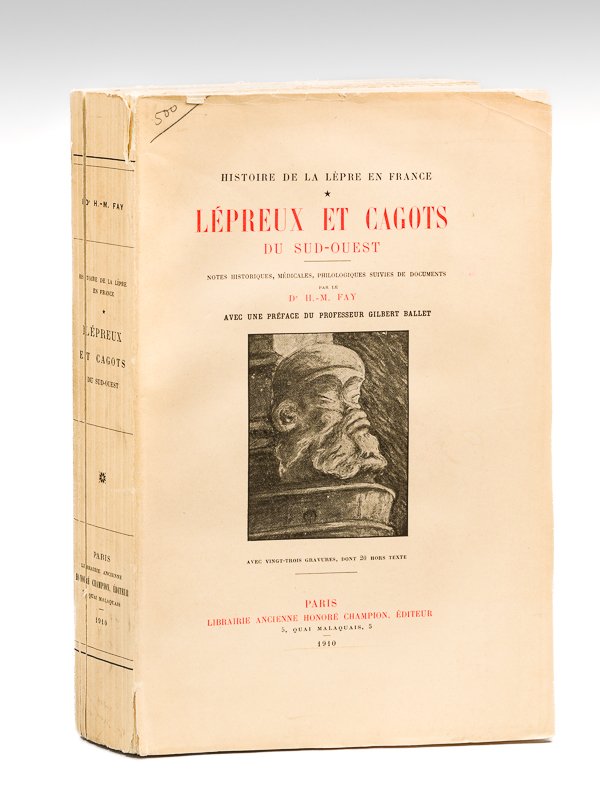 Histoire de la lèpre en France. I : Lépreux et …