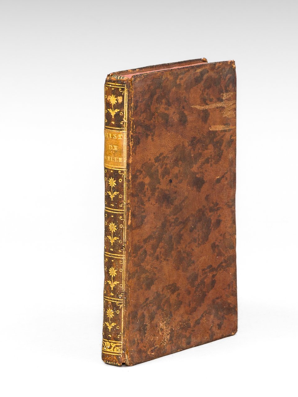 Histoire de Madame de Bellerive, ou Principes sur l'Amour et …