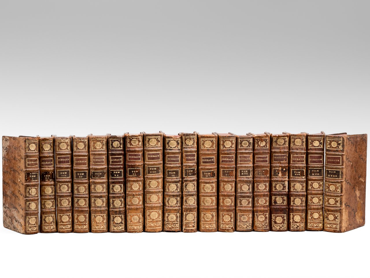 Histoire naturelle des Oiseaux (18 Tomes - Complet) | Immagine principale