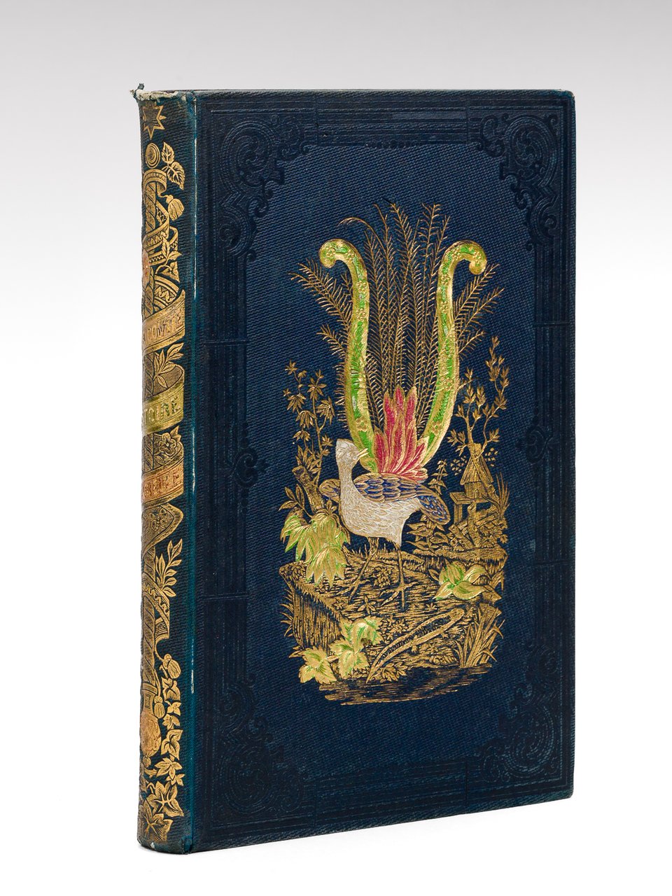 Histoire naturelle racontée à la jeunesse ou Exposé des instincts … | Immagine principale