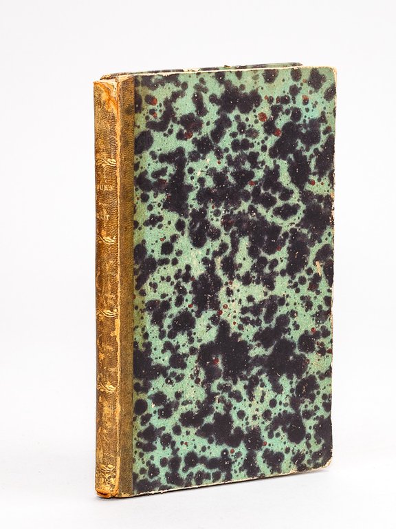 Impressions de Voyage de Jacques Pingot d'Aigre à Luié et …