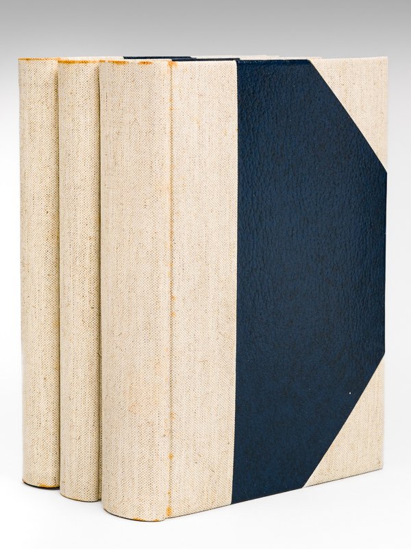 La Guienne Historique et Monumentale (2 Tomes en 3 Volumes …